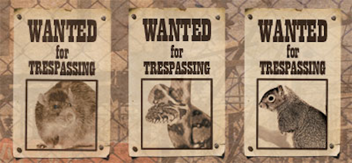 1111up Tresspass