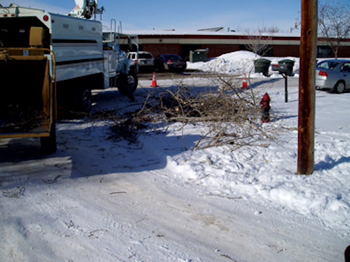 2011 04 Up F2b Tree Trim Brush