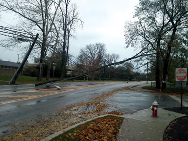 Acrt Sandy 7