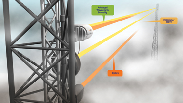 Aop Awd Fog