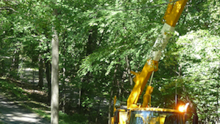 Terex