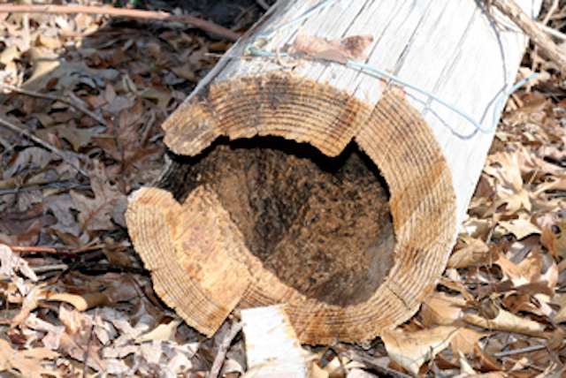 Duratel 6 Install Woodpec