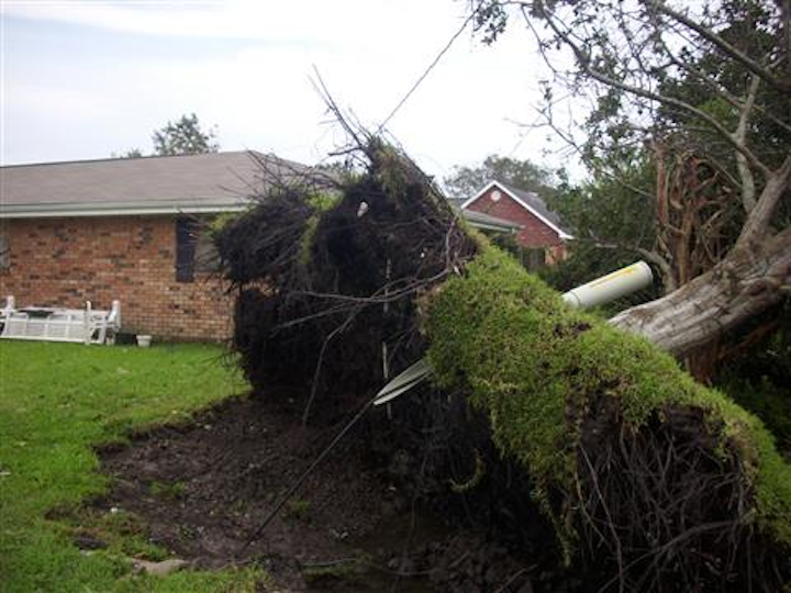 Gilbert was the most intense tropical cyclone to ever strike Mexico, and at one point measured 588 miles across. For 9 days, the storm devastated the Caribbean and the Gulf of Mexico, killing 433 people. The storm went on to break up in the Midwest of America, but not before spawning 29 tornadoes in Texas.