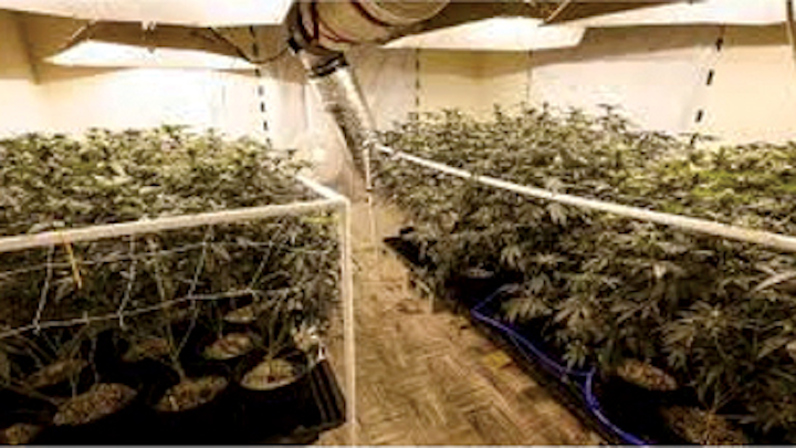 Ius Grow House