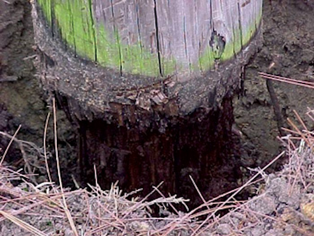 Osmose Decay Below Groundli