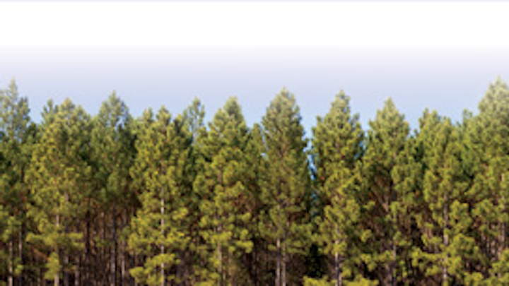 Osmose Tree Background