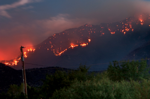 Osmose Wildfire