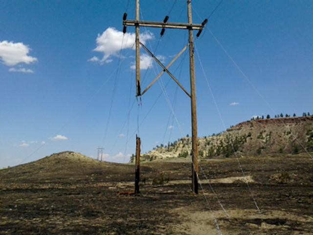 Osmose Wildfire Damaged H S