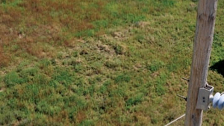 Pennwell web 300 450
