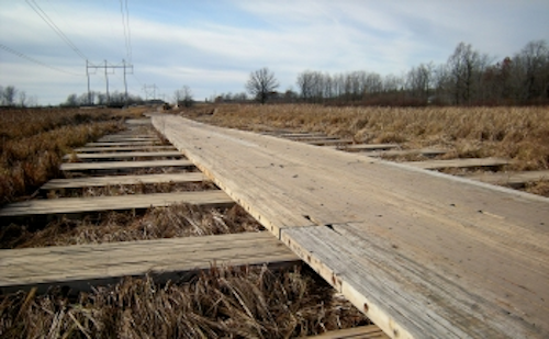Pennwell web 350 216