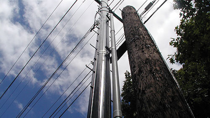 Tri P8240033