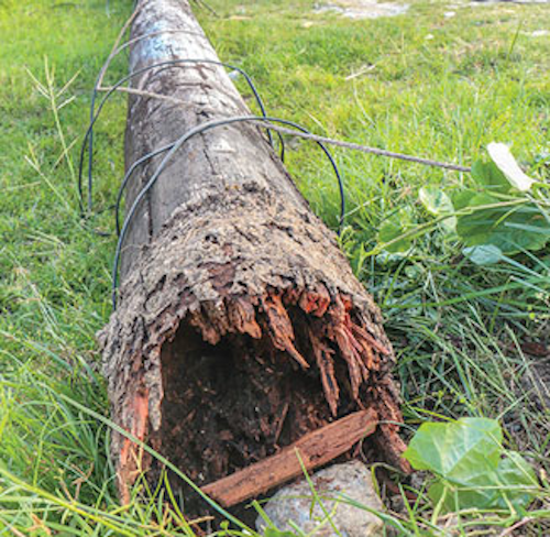 1605pgleh Pole Life P03