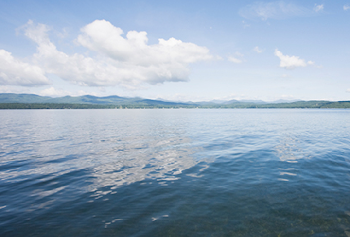 Content Dam Elp Online Articles 2014 05 Clean Power Link