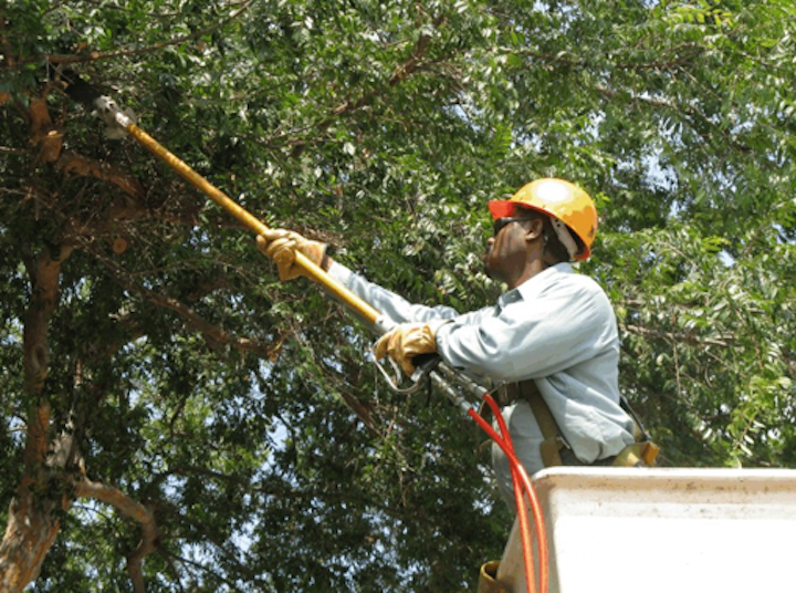 Content Dam Elp Online Articles 2014 07 Tree Trimming Vegetation Management