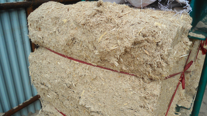 Content Dam Elp Online Articles 2014 08 Biomass Energy Bagasse