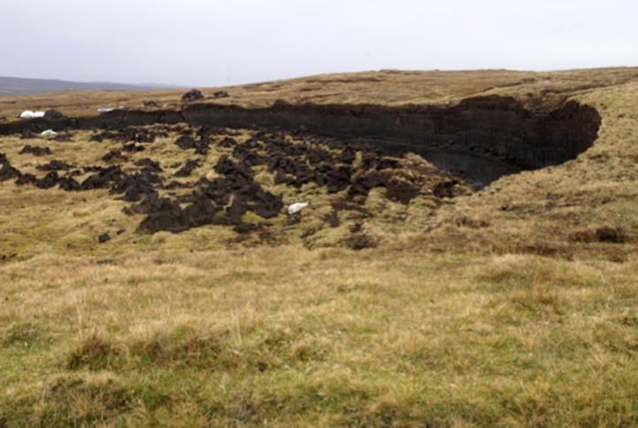 Content Dam Elp Online Articles 2014 10 Peat Biomass Elp
