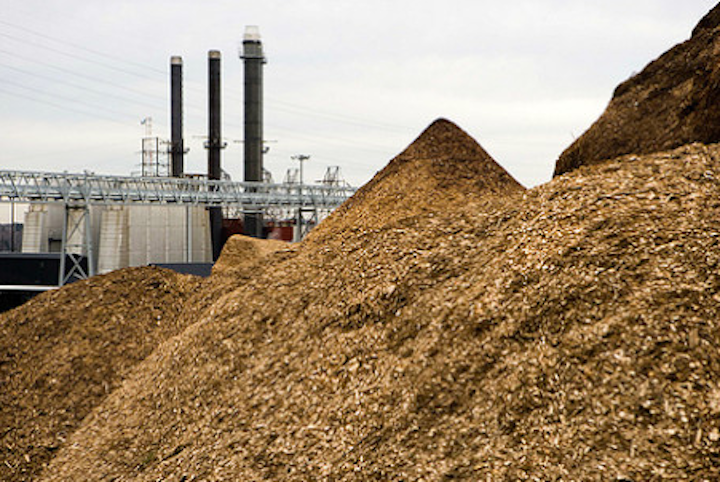 Content Dam Elp Online Articles 2014 10 Wood Biomass Elp