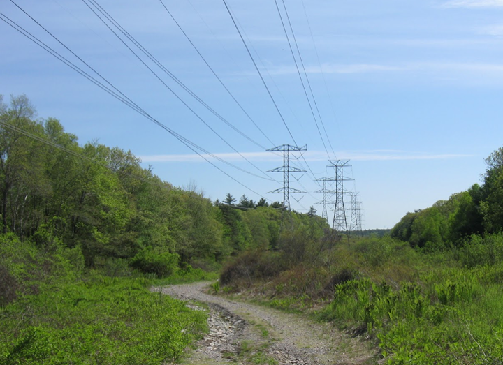 Content Dam Elp Online Articles 2015 January Rhode Island Transmission Vegetation Management Elp