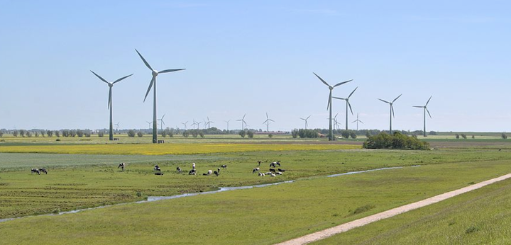 Content Dam Elp Online Articles 2015 June Wind Farm Elp 7