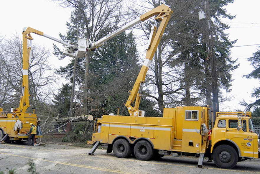 penelec-continues-ash-borer-program-removing-damaged-trees-utility