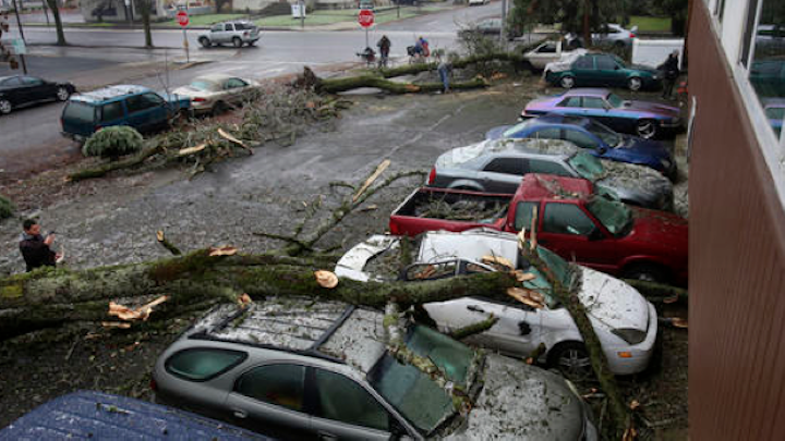 Content Dam Elp Online Articles 2016 12 Oregon Storm Elp