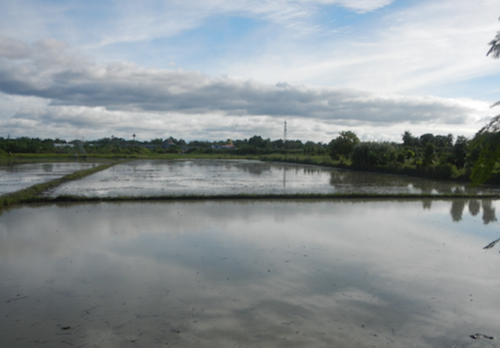 Content Dam Elp Online Articles 2017 01 San Vincente Reservoir Elp
