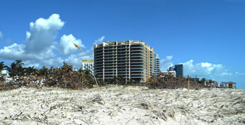 Content Dam Elp Online Articles 2017 09 Hurricane Irma September 20 Elp Smol