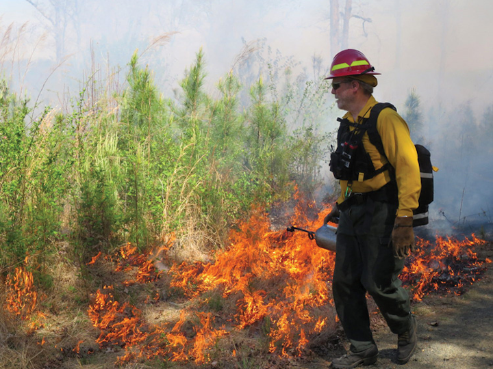 Content Dam Fr Gallery En Articles Print Volume 12 Issue 11 Departments Wildland Urban Interface Grow Or Burn Image Gallery 1711frwui P03