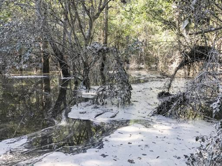 Content Dam Pennenergy Online Articles 2016 10 Ap Coal Ash