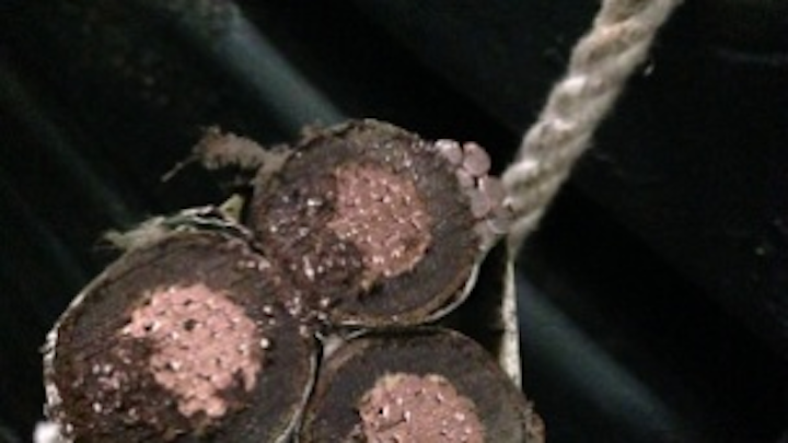 Content Dam Up En Articles 2014 03 Electric Distribution Preassembled Aerial Cable Leftcolumn Article Thumbnailimage File