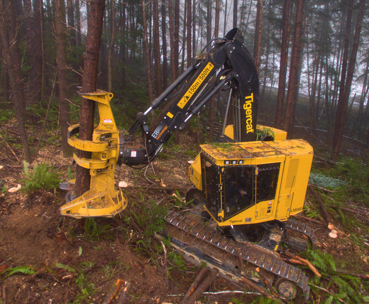 Line Construction Feller Buncher For Steep Slope Felling Applications Utility Products