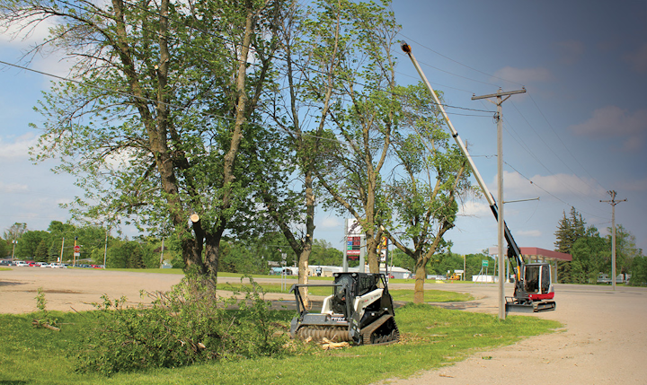 A compact mechanical tree trimmer and skid steer mulcher make an excellent combination for trimming and mulching branches.