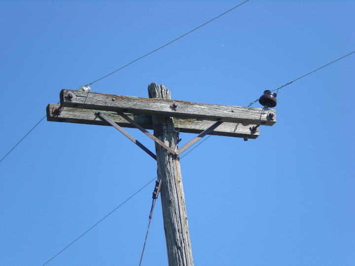 Wood poles are susceptible to degradation by a variety of agents, both abiotic (non-living) and biotic (living).
