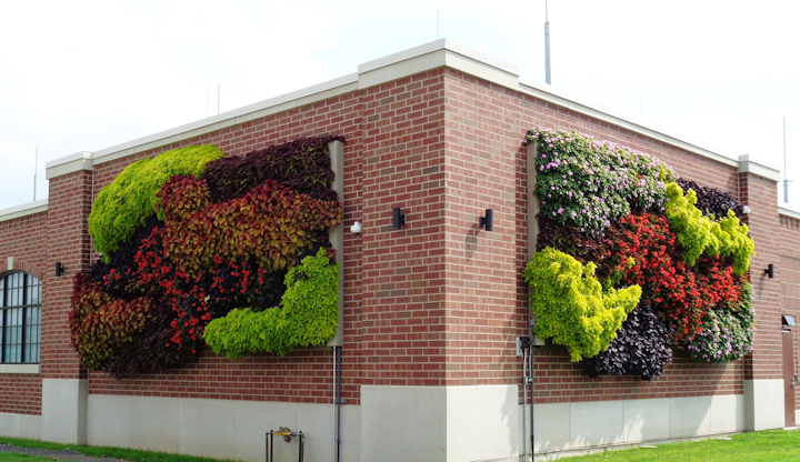 L Wall Bwl L Wall 091119 3