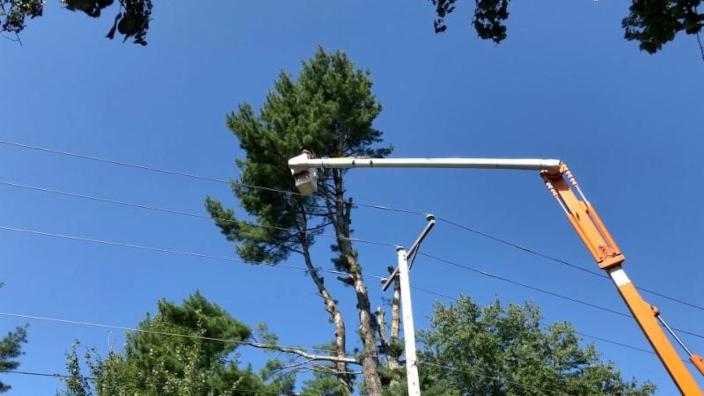 Eversource To Invest 41m In Tree Trimming Across Mass In 2020 Utility Products
