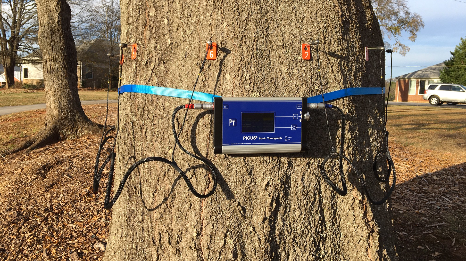 Sonic Tomography for Trees What It Can Do for Utilities Utility Products