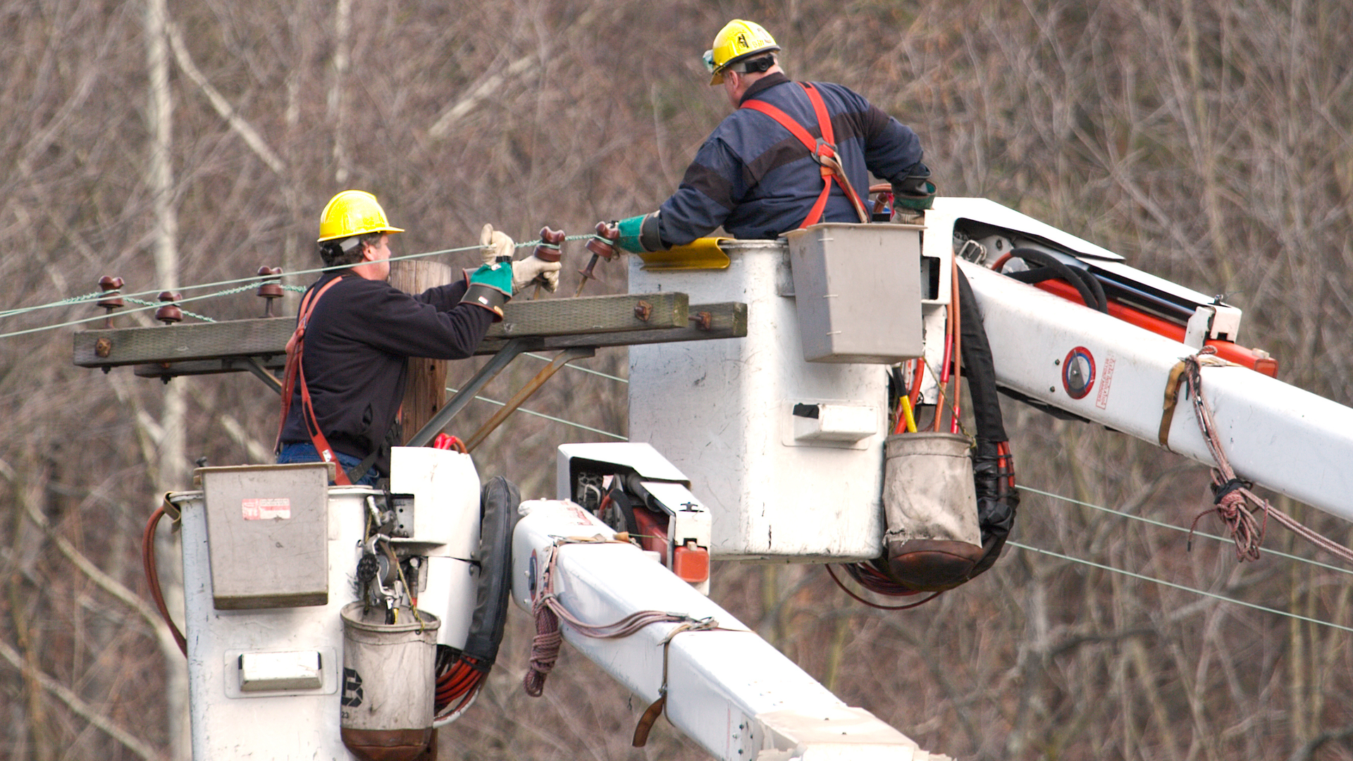 TriCounty Electric Cooperative Sees Gains in Reliability with